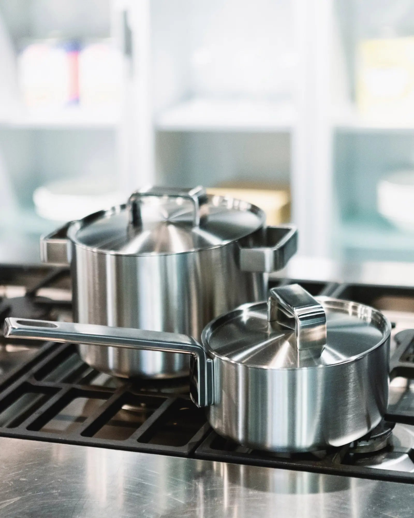 Twee roestvrijstalen potten met deksels.