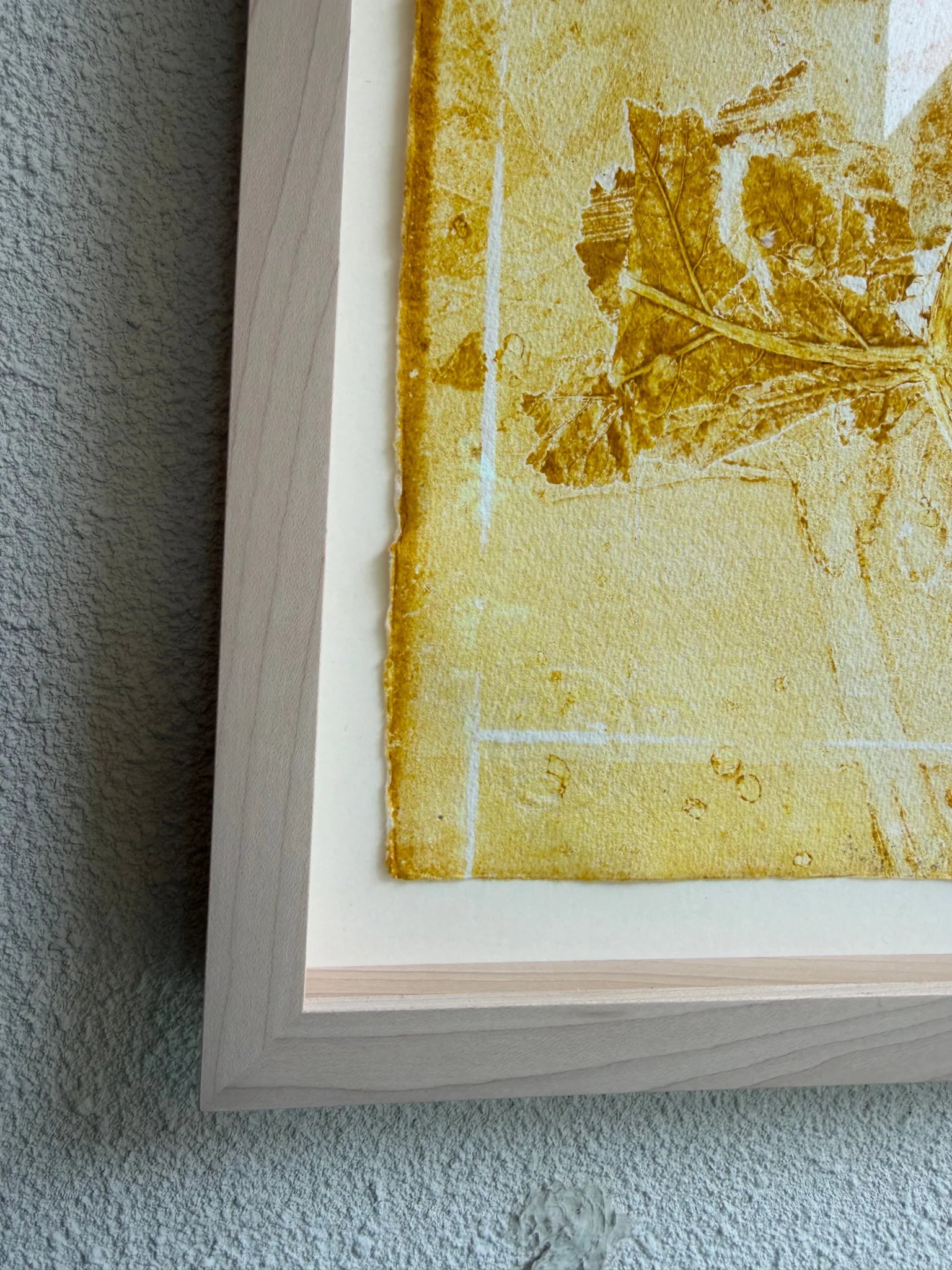 Piet Dieleman Atelier Piet Dieleman | Herbarium Monotypes 4 - Hahnemuhle 100% cotton paper 300g/m,