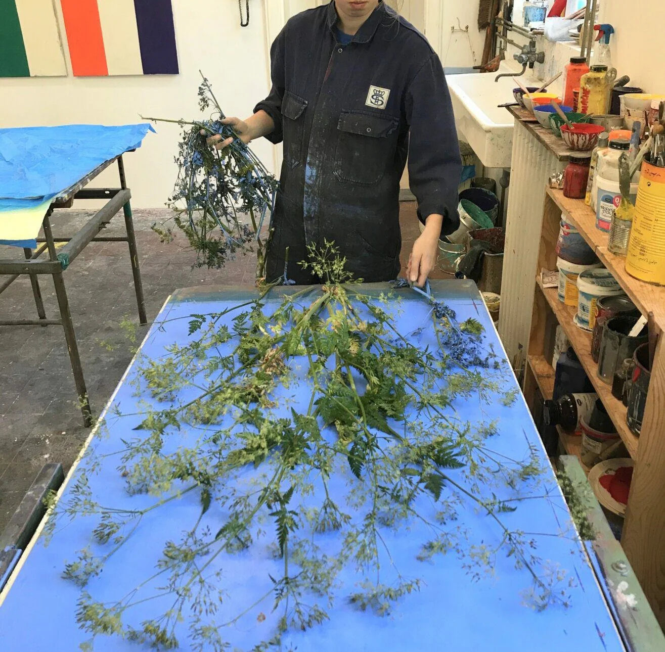 Piet Dieleman Atelier Piet Dieleman | Herbarium Monotypes 4 - Hahnemuhle 100% cotton paper 300g/m,