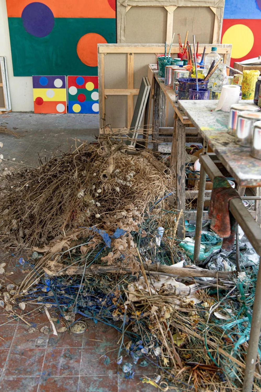 Piet Dieleman Atelier Piet Dieleman | Herbarium Monotypes 4 - Hahnemuhle 100% cotton paper 300g/m,