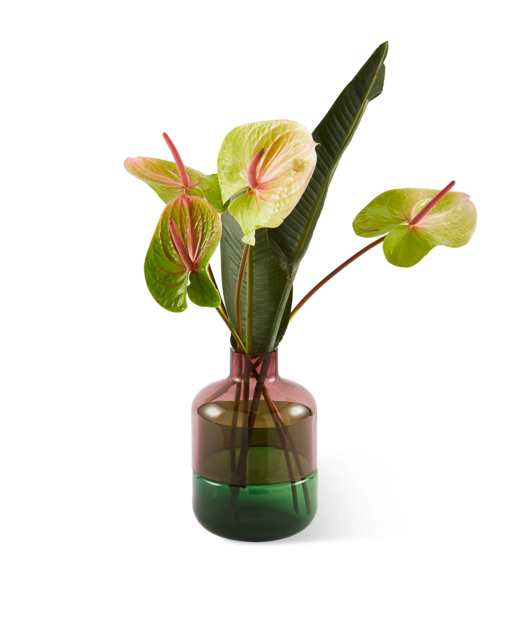 pols potten vaas Formy - S