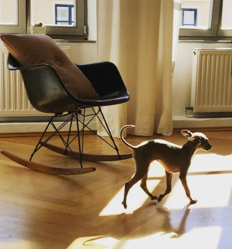 vitra Eames Fiberglass Armchair RAR - zwart onderstel