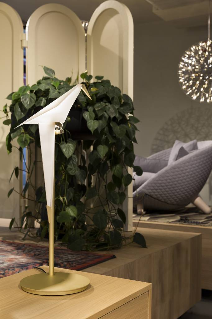 Moooi tafellamp Perch Light - standaard