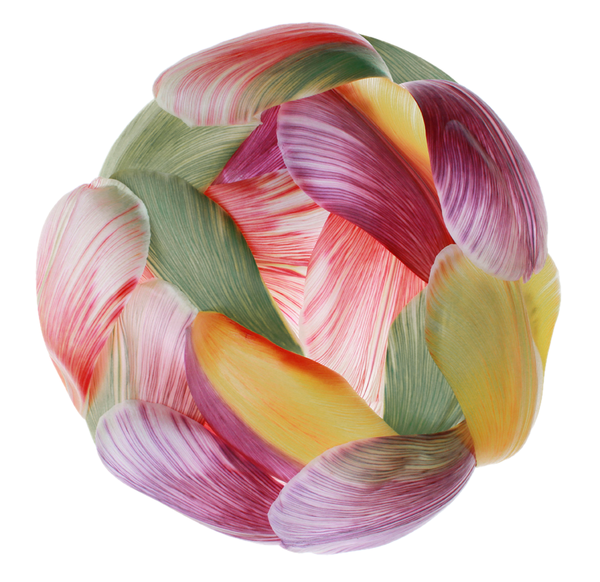 Tulip Mania rond